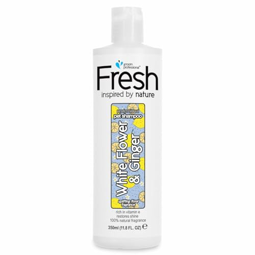 GROOM PROFESSIONAL Fresh White Flower & Ginger Hundeshampoo Sensitiv - Natürliches Shampoo für Empfindliche Haut - Regeneriert Beschädigtes Fell - Für Trockenes & Stumpfes Fell - Zitrusduft, 350ml