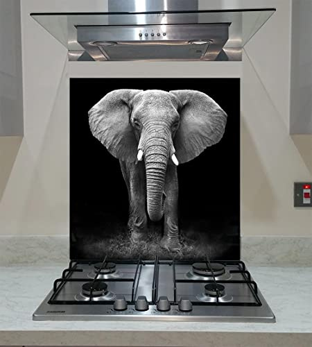 Splashback Toughened Glass Modern Unique Kitchen Black Elephant Any Size (wide 60 x height 60/cm)