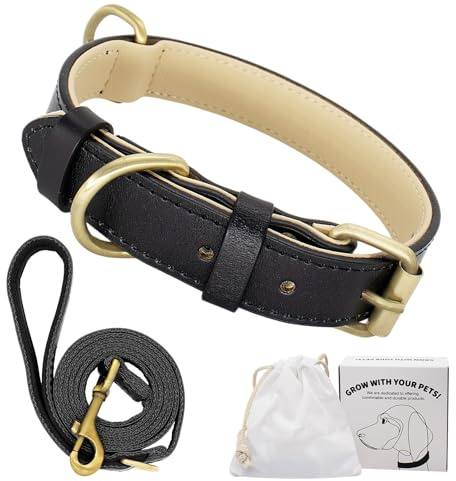Dote on Hundehalsband und Leine, verstellbar, echtes weiches Leder, gepolstert, für kleine, mittelgroße und große Hunde, Größe L (43–54 cm), Schwarz)
