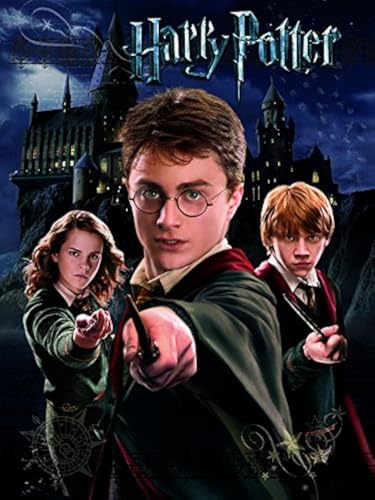 Wizarding World Harry Potter Ron Hermione, 40 x 50 cm, Leinwanddruck, Mehrfarbig