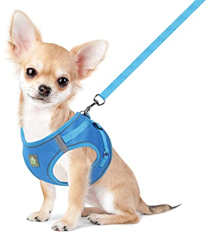 FEimaX Hundegeschirr mit Leine für Kleine Mittele Hunde Katzen Weich Mesh Welpengeschirr Atmungsaktive Brustgeschirr Verstellbare Reflektierend No Pull Weste Chihuahua Katze