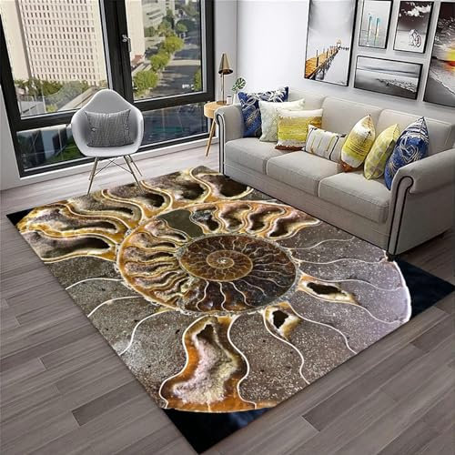 Kind Teppich 80 X 120 cm, Schlafzimmer Teppich, 3D Teppiche Wohnzimmer Teppiche Weich rutschfest Teppich Für Wohnzimmer Schlafzimmer Bettvorleger Dinosaurier-Tierfossilien -5A0Y4J5