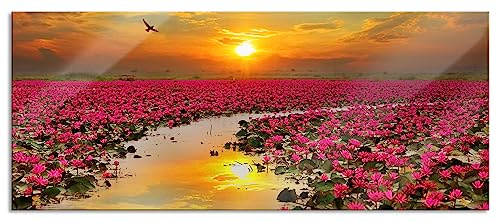Pixxprint Glasbild Panorama, Wandbild aus Echtglas, Lotusblüten am See, 120x50 cm, inkl. Aufhängung und Abstandshalter