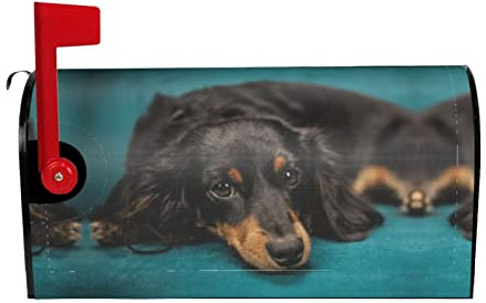 Einzigartiges Design von Briefkasten-Dekoration, Dackel-Hund, wasserdichte und Sonnenschutz-Briefkasten-Schutzhülle