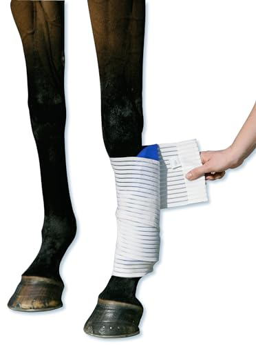 Stübben Kryo Kompakt häst elastiskt bandage