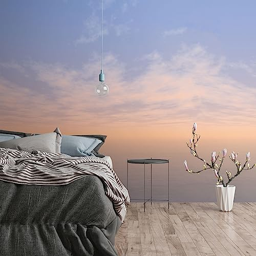 Livingwalls Vliestapete - Himmel Tapete in Gelb, Blau und Orange - Wandtapete für verschiedene Räume - Wandbild XXL 2,80 m x 2,65 m