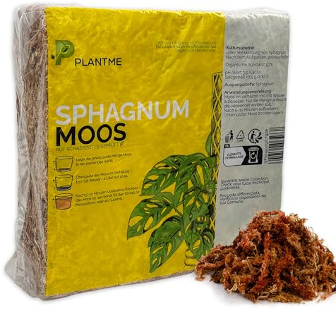 PlantMe Sphagnum - Musgo para plantas de interior y enredaderas (1000 g)