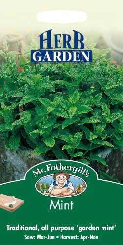Mr Fothergills - Pictorial Packet - Herb - Mint - 250 Seeds