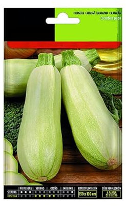 Semillas de Calabacín Italiano Variedad Genovesa para Huerto Urbano