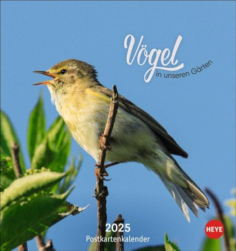 Vögel in unseren Gärten Postkartenkalender 2025: Ein kleiner Kalender zum Aufstellen und Aufhängen mit den 12 häufigsten Gartenvogelarten. ... zum Heraustrennen. (Postkartenkalender Heye)