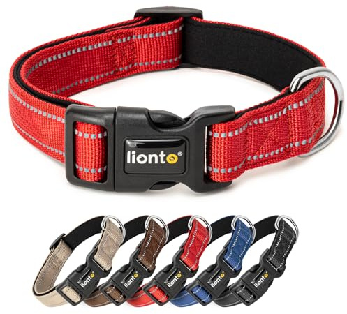 lionto Hundehalsband, Reflektierend, Gepolstert, Größe XS, Rot | Weiches Halsband aus strapazierfähigem Nylon, mit robuster Schnalle, stufenlos verstellbar, D-Ring für Leinenbefestigung