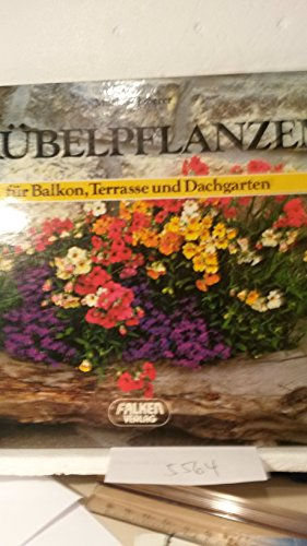 Kübelpflanzen für Balkon, Terrasse und Dachgarten