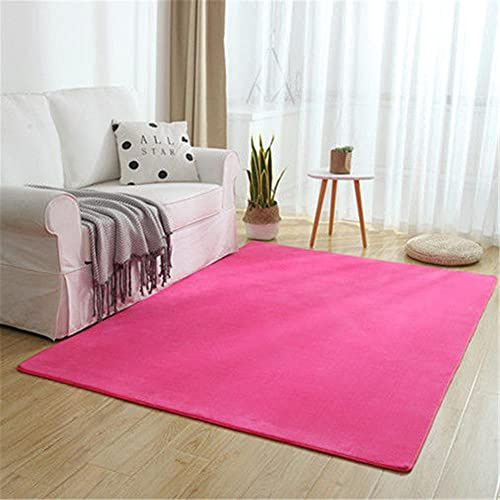Alfombra de Terciopelo Coral Grueso de Color sólido Calidad Rosa puro Suave Lavable Antideslizante Grande Rugs Rug Minimalista Moderna Sala De Estar Dormitorio Tatami Gateando Estera -120×140cm