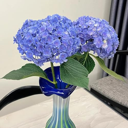 80 pz Semi di ortensia - piante da appartamento per purificare l'aria, semi biologici Le ortensie sono resistenti fiori decorativi, semi di bonsai decorazione ufficio semi balcone