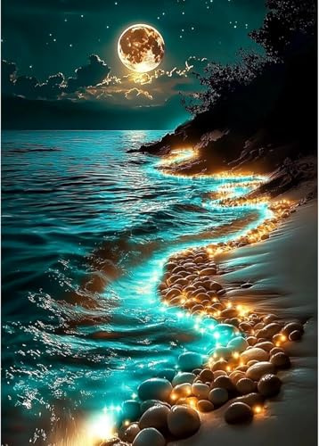 Hongyrjy Moonlight Paint by Numbers for Adults-Painting Kits for Adults,Beach Paint by Number Canvas,Paint by Numbers for Adult Scenery Perfect for Gifts and Home Wall Decor 12x16inch
