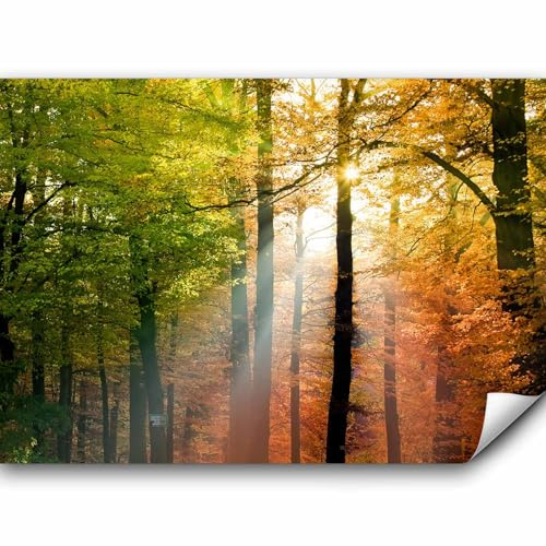 murando - Carta da Parati Adesiva Moderna per Soggiorno, Foresta 392x280 cm | Fotomurale Autoadesiva, Pellicola Murales, Decorazione da Muro XXL, Poster Giganti da Parete, Alberi, Arancione