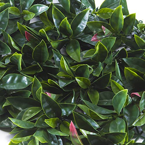 TENAX Pannello Componibile con Foglie Artificiali Tipo Fotinia, Divy Panel Photinia 0,5x0,5 m per Decorazione Parete Giardino Verticale