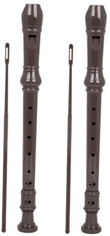 JOINPAYA 2sätze Flöte Tragbar Für Junge Mädchen Schüler Musikinstrument Übungsinstrument Leichte Blasinstrument Lerntrainingsstütze Mit Reinigungsstab