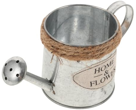 TOYANDONA Annaffiatoio in Ferro Vintage Argento Robusto e Resistente, Vaso Decorativo a Forma di Teiera per Piante da Interno su Scrivania o Ufficio