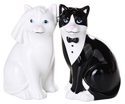 Wedding Cats Magnetic Ceramic Salt and Pepper Shaker Set