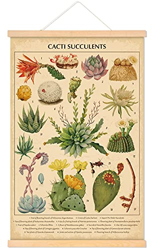 Tatuo Vintage Cacti Succulent Poster Cactus Wall Art Prints Rustic Cacti Hanging Wall Decor Hanging Canvas Frame Wall Poster for Living Room Bedroom Decor, 15.7 x 23.6 Inches