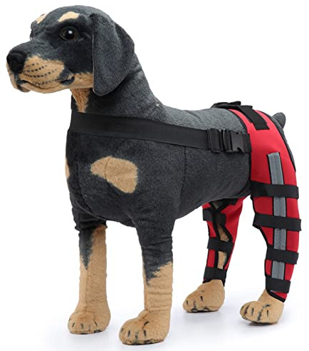 Hunde-Kniebandage für Zerrissene ACL, Hunde-Kniebandage, Hundebeinbandagen, Elastische, Sichere, Stoßfeste Knieschützer für Haustiere mit Reflektierenden Streifen, Hunde-ACL-Bandage, Hinterbein für