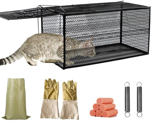Live Animal Cage Trap Racoon, Humane Cat Trap for Stray Cats Catch Release Rodent Cage for Rabbits, Groundhog, Stray Cat, Squirrel(52 * 26 * 26cm)