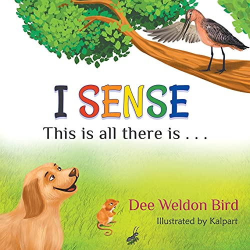 I SENSE: This is all there is . . .