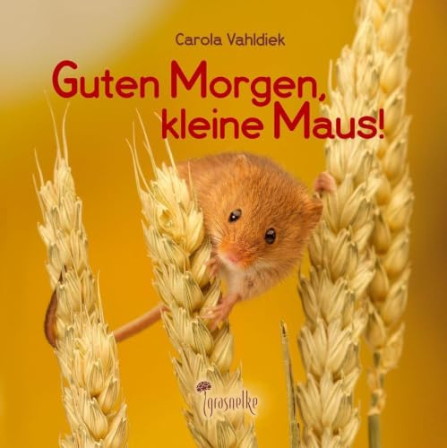 Guten Morgen, kleine Maus!: Eine Geschichte zum Fröhlichsein (Märchen von der kleinen Maus)