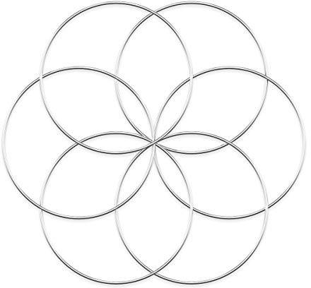 Worown 6 Piezas 25cm Aros de Guirnalda Floral, Anillos de Metal Plateado para Hacer Bodas, decoración de guirnaldas navideñas, atrapasueños y Manualidades para Colgar en la Pared