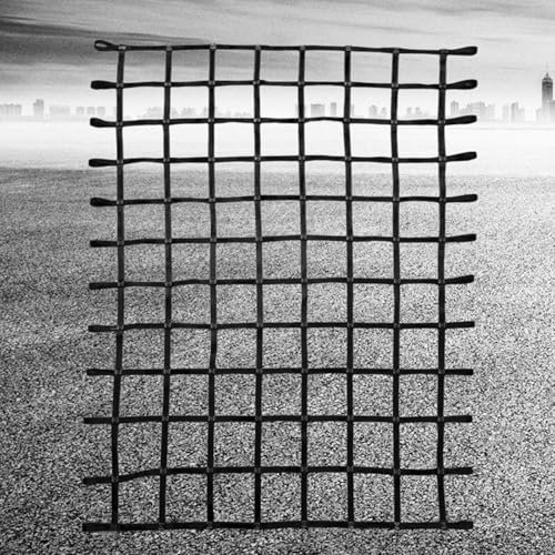 Gurtbandnetz Ladungssicherungsnetz - Zurrnetz Für Kisten Und Paletten, Anpassbare Frachtnetz Gurte, Starkes Lasttragendes Hebenetz, Sicherheits Hebenetz Aus Nylon Zum Aufhängen(4 X 4M/Mesh 20cm/Load 3
