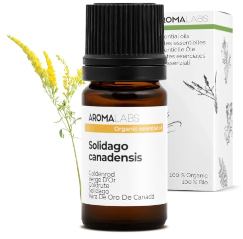 Vara de Oro BIO (Solidago canadensis) - 5 mL - Aceite Esencial Quimiotipado y Certificado AB/Cosmos - Aroma Labs