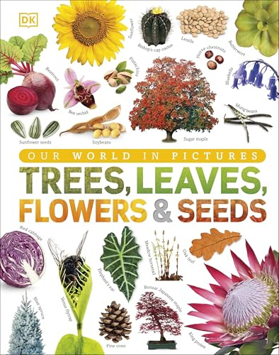 Our World in Pictures: Trees, Leaves, Flowers & Seeds: A visual encyclopedia of the plant kingdom: A Visual Plant Encyclopedia for Kids