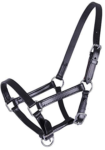 QHP Lederhalfter Halfter Fohlen Chico beige + schwarz (Warmblut-Fohlen, schwarz)