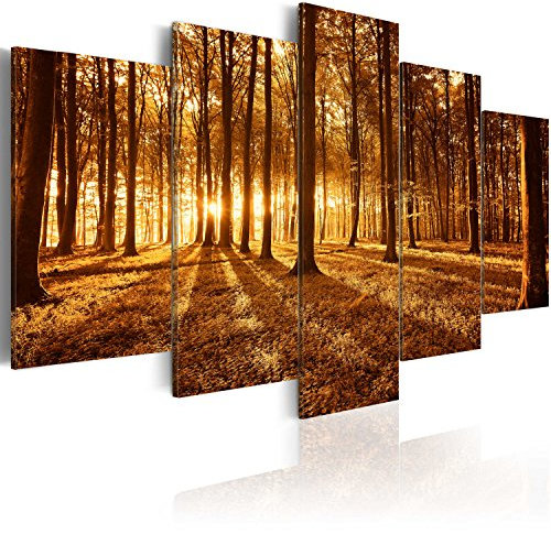 B&D XXL - Akustikbild Wald Natur 5 tlg - Bilder Akustikschaum Schallschutz Wand Deko Kunst Akustikpaneele Wandpaneele Schalldämmung Wandbild Schallabsorber Akustikplatten b-B-0027-b-p