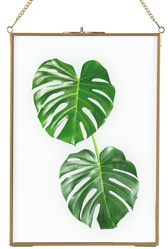 Homtone 21x30 cm Glasrahmen für Wand, Schwebender Displayrahmen | Hängender Glas-Bilderrahmen, Reines Kupfer Presse Glasrahmen für Blumen Muster Pflanzen, Foto DIY Kunstwerk