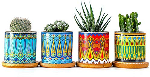 XUDREZ Set di 4 vasi per piante grasse, 7,5 cm, in ceramica, mini vasi da fiori con vassoio in bambù, decorazione per casa e ufficio