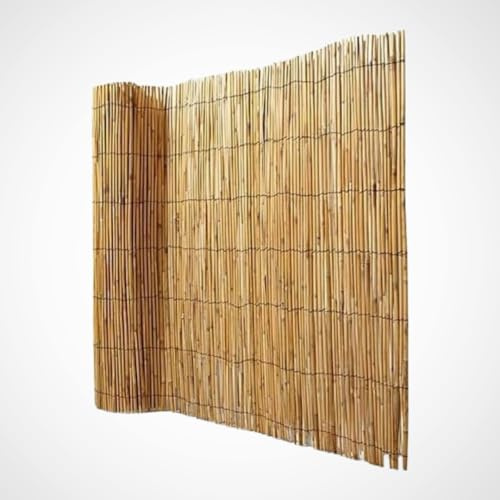 Cañizo de Bambú Pelado para Jardín: Privacidad y Cerramiento Natural, Fácil Instalación y Resistente a la Intemperie, Material Versátil, Color Madera