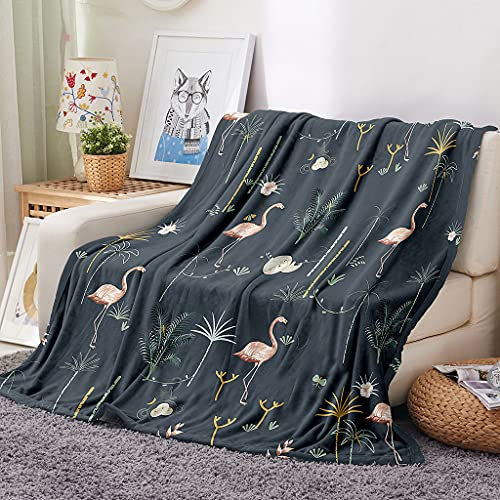 EHOMERY Manta Sofa Grande Algodon Colcha Patchwork Mantas Sofa Grandes Verano Cobijas De Invierno Gruesas Flamenco Dibujos Animados Manta Camping Suaves Y Cómodas Gris 100x70cm