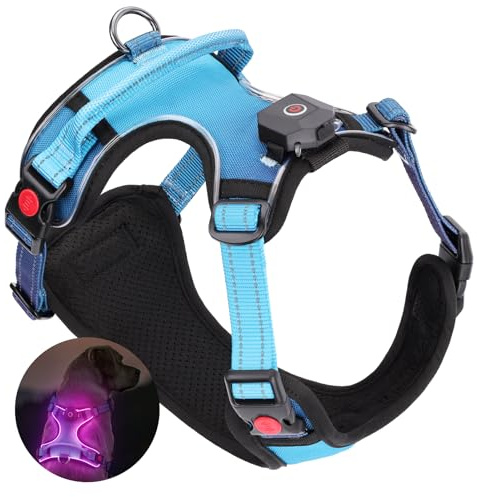 DAISTERN von BSWAY LED Hundegeschirr