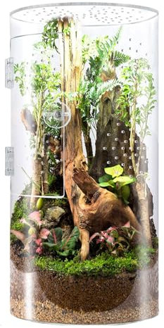 zjhukfmc Ransparent Reptilien-Futterbox, 20/29,2/30 cm, Glas, Reptilien-Terrarium, einfache Reinigung und Haltbarkeit, Acrylglas-Gehege für Spinnen, kleines Terrarium mit Vordertür