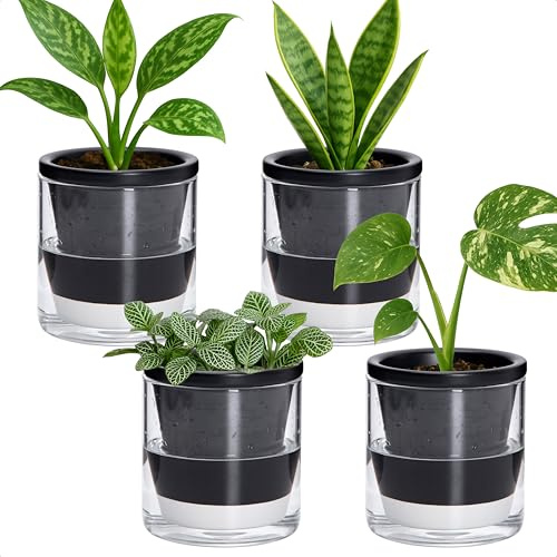 D'vine Dev Maceta con diseño de autorriego de 4 pulgadas para plantas de interior, macetas de terracota negra con taza de vidrio cilíndrica, juego de 4, 374-A-4