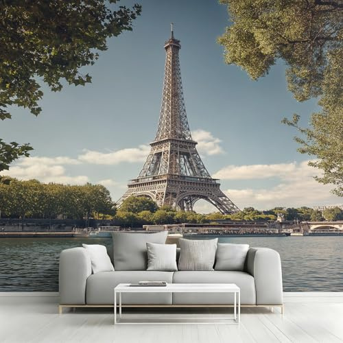 Générique Papier Peint Panoramique Tour Eiffel, Papier Peint Paysage Urbain de Paris 310x250 cm, Fresque Murale Intissé, Décoration Murale Salon Chambre
