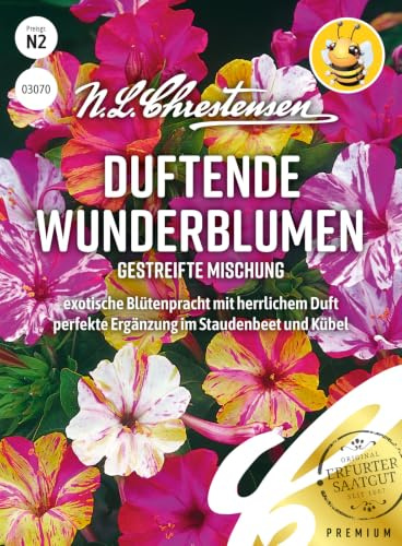 Chrestensen Wunderblume Blumensamen Mischung, gestreift | duftende Wunderblume, für Garten und Wiese