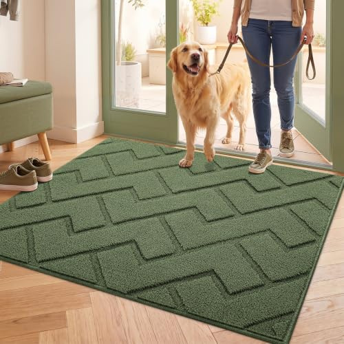 Biscpro Fußmatte Innen Außen 80x100cm,Schmutzfangmatte rutschfest Fussmatte Innen Waschbar Eingangsteppich Innen Fussmatten Haustür dünn Innen für Eingang, Flur, Garten, Innen, Haustier- Grün