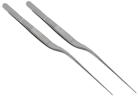Alipis 2Pièces Pincettes Alimentaires Inoxydable Lot De Ustensiles De Cuisine Pour Plats Et Décoration Pour Chefs Et Cuisine