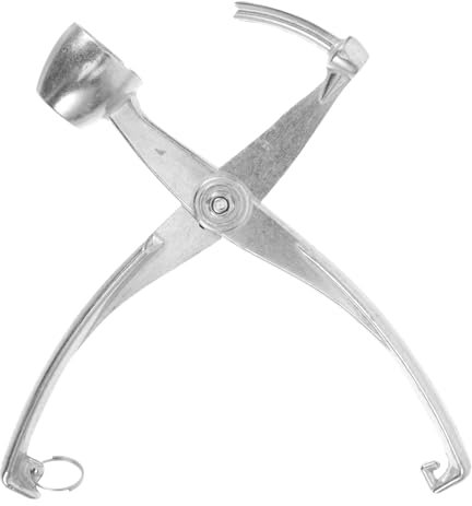 KOCKSHION Denocciolatore Ciliegie in Metallo Argento Professionale