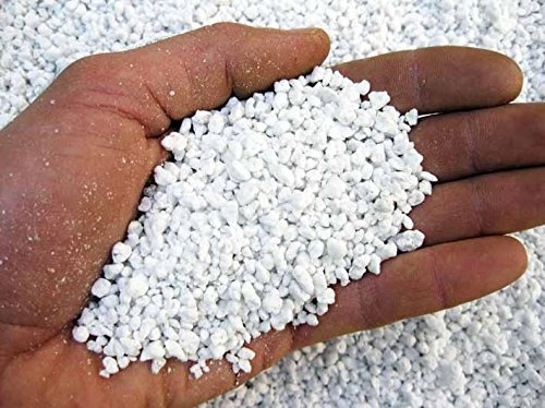 Geosism & Nature - Perlite per Piante in Vaso, Ideale per Bonsai, Cactus, Giardino, Orchidee, Orto, Piante Carnivore (1 kg, 2/6 mm)