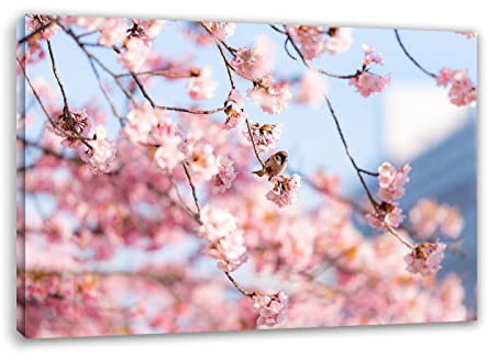 Apcgsm Bilder Blumen Kirschblüten Blumen - Leinwandbilder Blumen Kunstdruck - Bild auf Leinwand - Modern Wohnzimmer Wandbilder Wanddekoration - Wand Bild Landschaft Natur 80x120cm(31.5x47.2) Gerahmt
