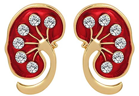 Rote Niere Kristall Emaille Pin Niere Pin Medizinisches Geschenk Arzt Krankenschwester Broschen Gold Silber Farbe Trendy Schmuck Damen Accessoires